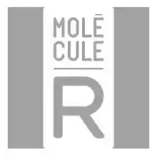molecule-r.com